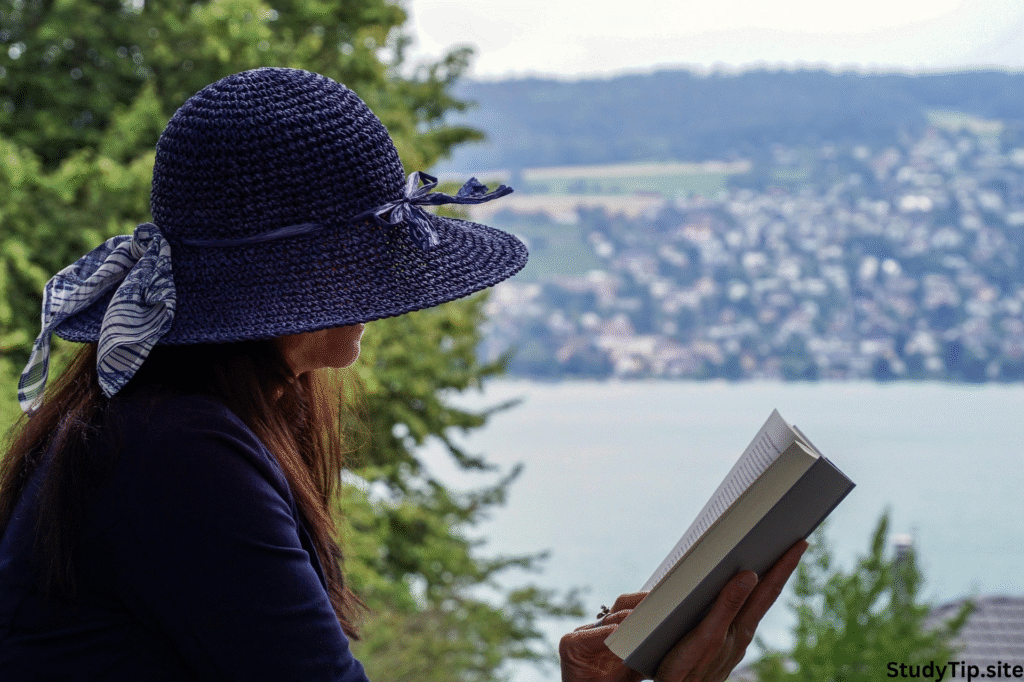 lakeview student loans